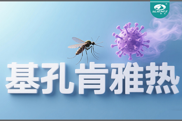 基孔肯雅热疫情升级！yl8cc永利官网生物硬核技术助力病毒精准诊断