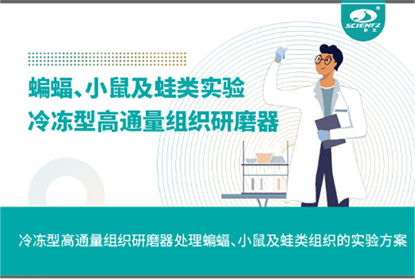 冷冻型高通量组织研磨器处理蝙蝠、小鼠及蛙类组织的实验方案
