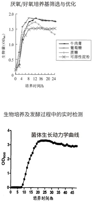 过程安全，结果精准