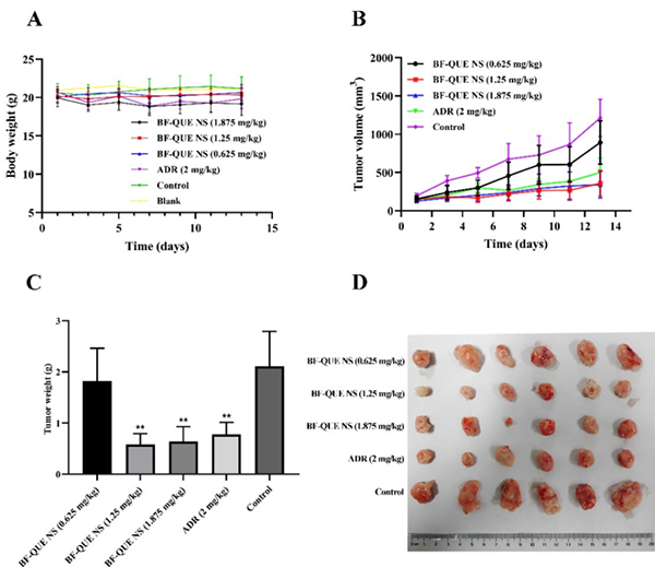 微信图片_2026-01-22_133715_192