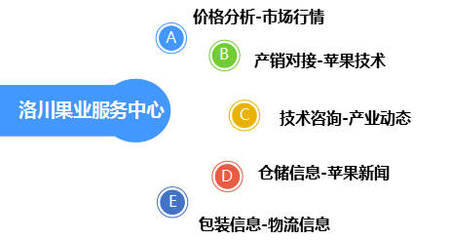 苹果套袋后管理技术6要点