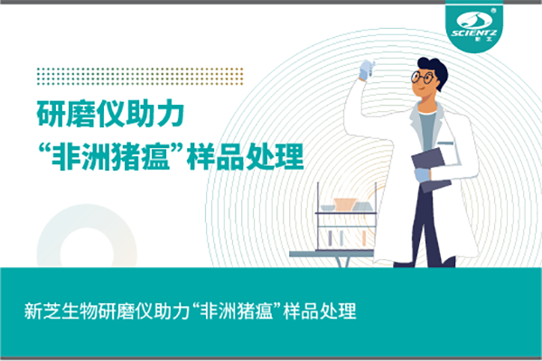 yl8cc永利官网生物组织研磨仪助力“非洲猪瘟”样品处理