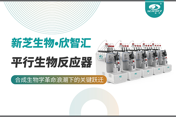 培养菌株和评估工艺参数影响太难太慢？平行生物反应器提供关键解决方案！