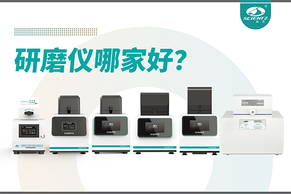 研磨仪哪家好？宁波yl8cc永利官网生物研磨仪厂家专注样品处理