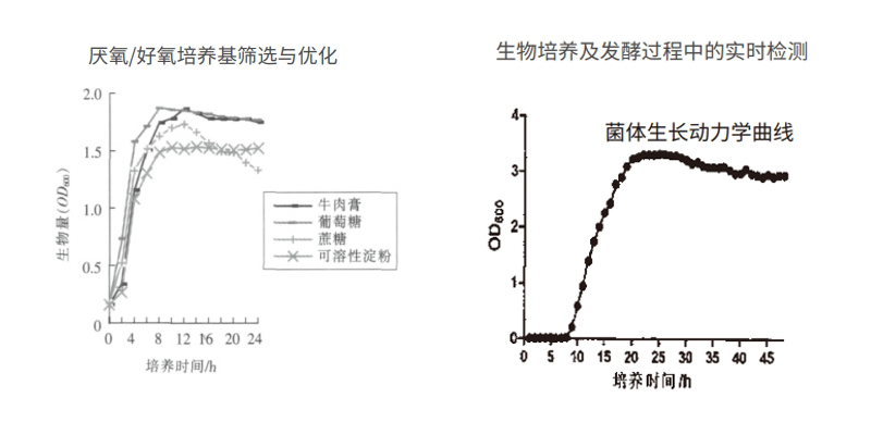 过程安全，结果精准